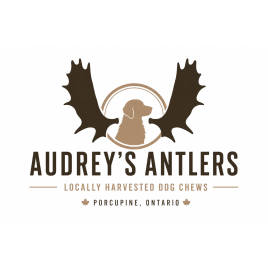 Audrey's Antlers