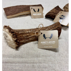 Moose Antler Chews